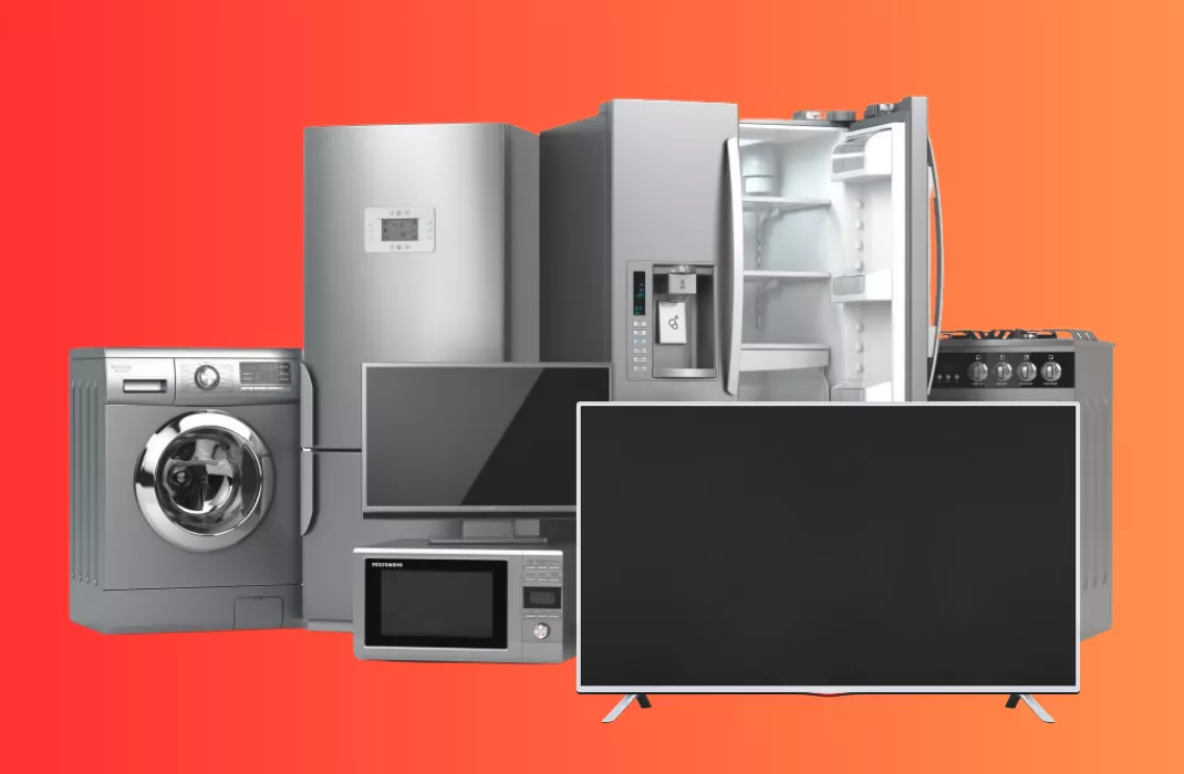 Professional Technician Repairing Appliance